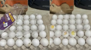 Viral: Customer Uses AI to Fake “Broken Eggs” for Swiggy Refund
